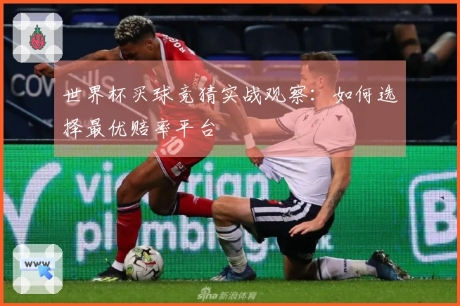 世界杯买球竞猜实战观察：如何选择最优赔率平台