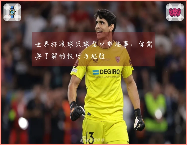 世界杯滚球买球盘口那些事，你需要了解的技巧与经验